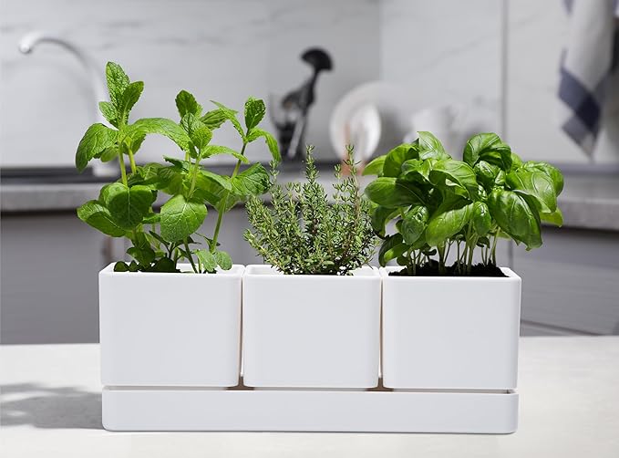 D'vine Dev Herb Garden Planter Set, Plastic Plant Pots - Image 2