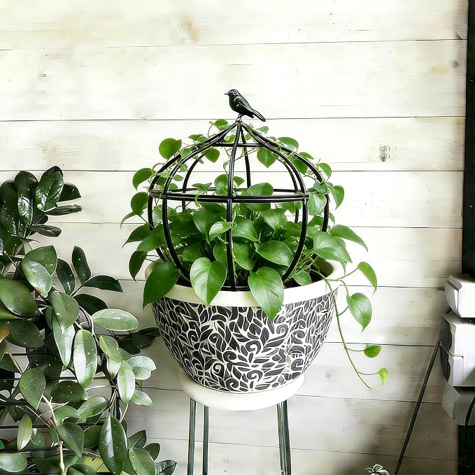 Sturdy Metal Garden Obelisk Trellis - Image 5