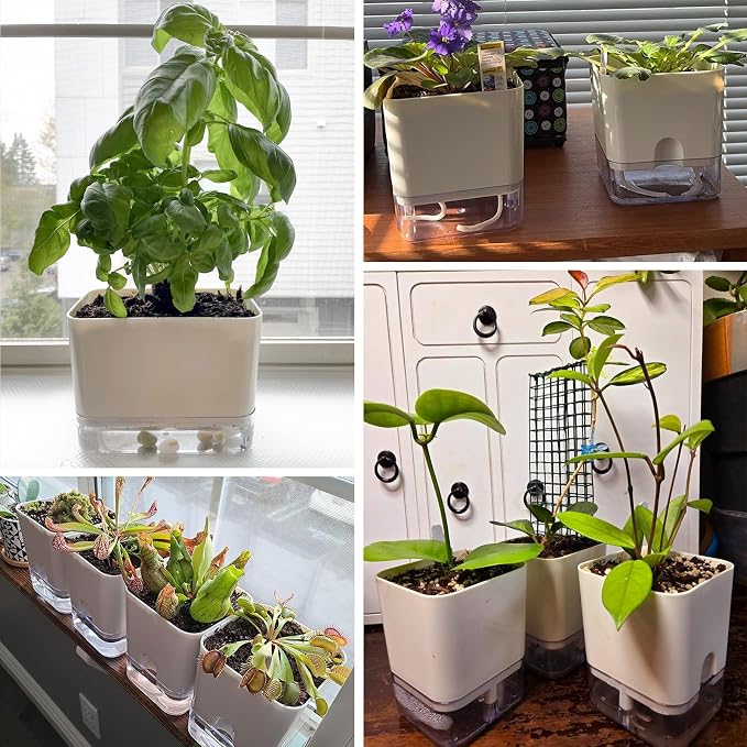 Planterhoma Self Watering Plant Pots - Image 8