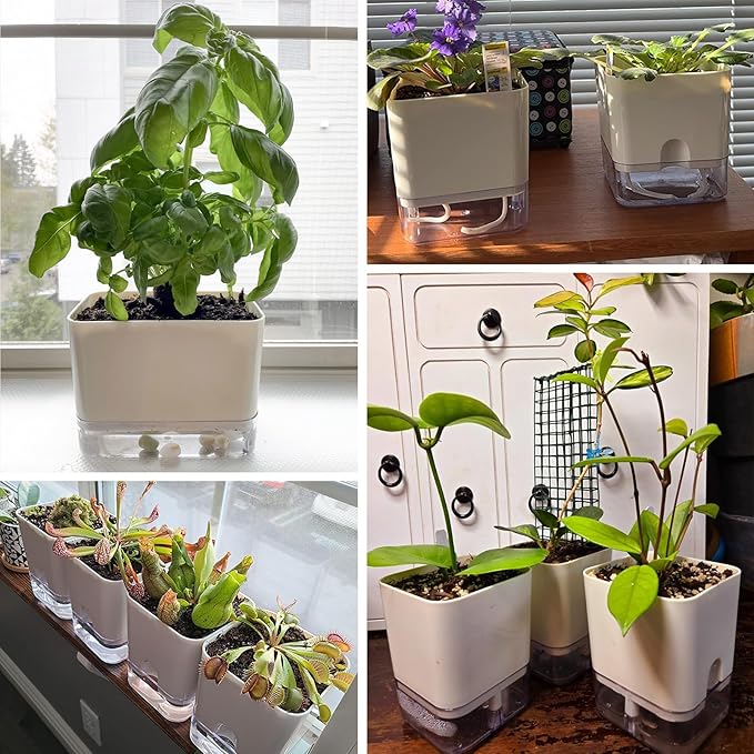 Planterhoma Self Watering Plant Pots - Image 8