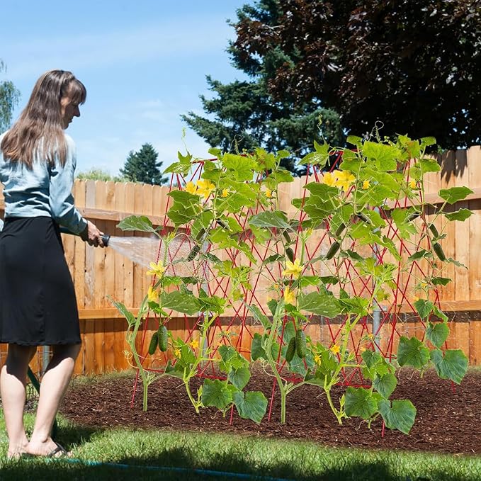 Cucumber Trellis 2 Pack, Foldable A-Frame Garden Trellis - Image 2