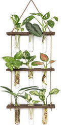 Mkono Plant Propagation Tubes, 3 Tiered Wall Hanging Terrarium by Mkono
