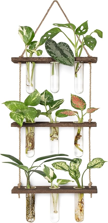 Mkono Plant Propagation Tubes, 3 Tiered Wall Hanging Terrarium by Mkono