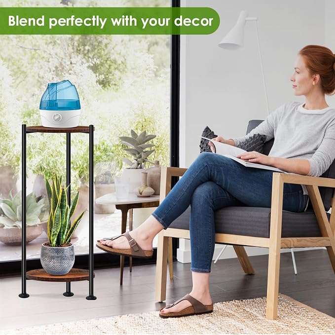 Plant Stand Indoor Outdoor, Heavy Duty Indoor Plant Shelf, 2 Tier Flower Stand - Image 4