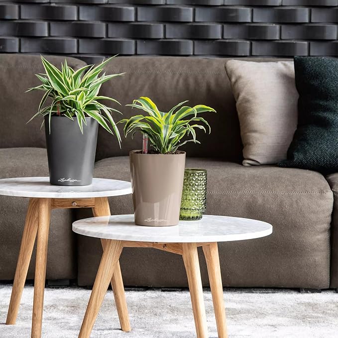 Lechuza DELTINI Shiny Taupe High Gloss, Self-Watering Small Indoor Planter - Image 8