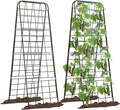 Heavy Duty 50"x17" Adjustable A-Frame Trellis by Unknown