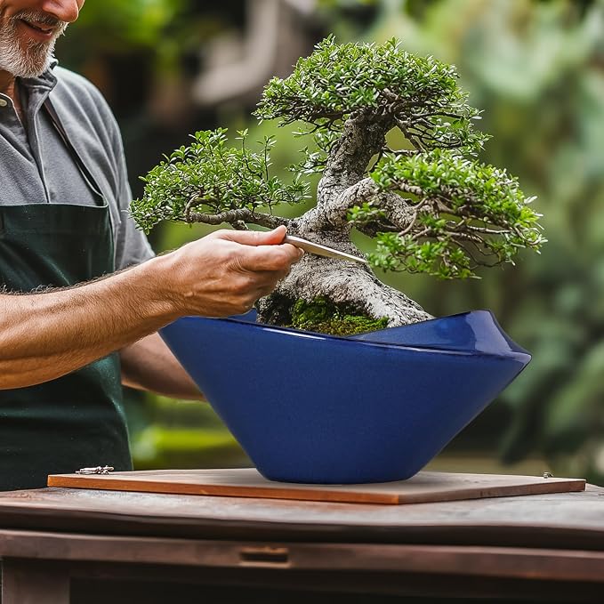 Bonsai Tree Pot 13 Inch - Image 4