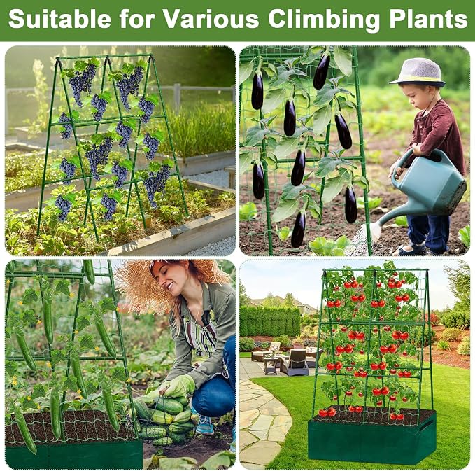 Cucumber Trellis for Garden, 34 X 47 Inches A Frame Gardening Trellis - Image 7