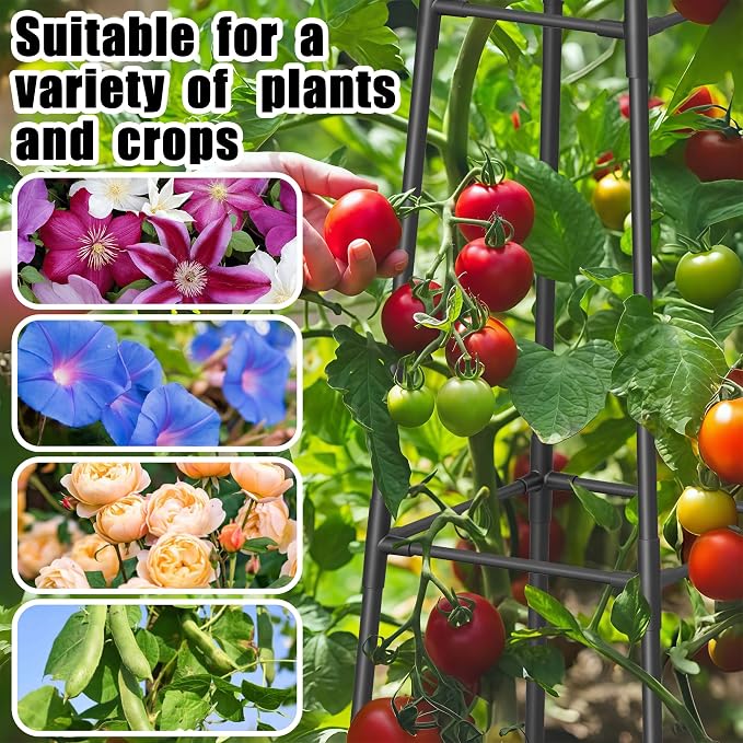 6FT Obelisk Trellis for Climbing Plants Outdoor, 16mm Rust-Proof Extra - Image 6