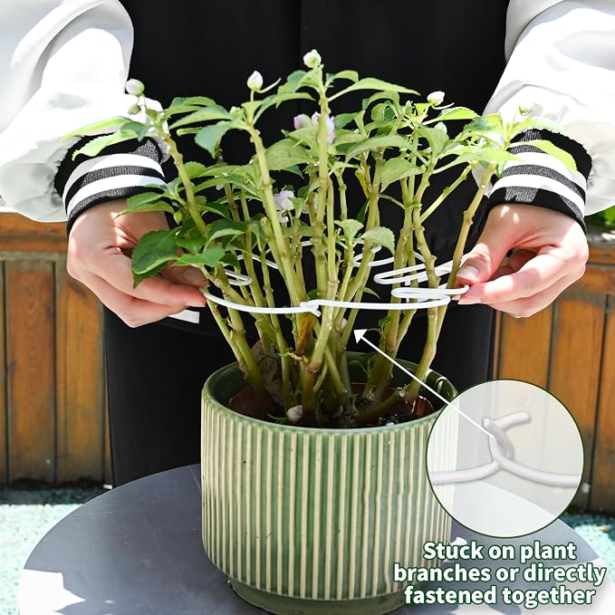 White Monstera Plant Stem Support - Image 4