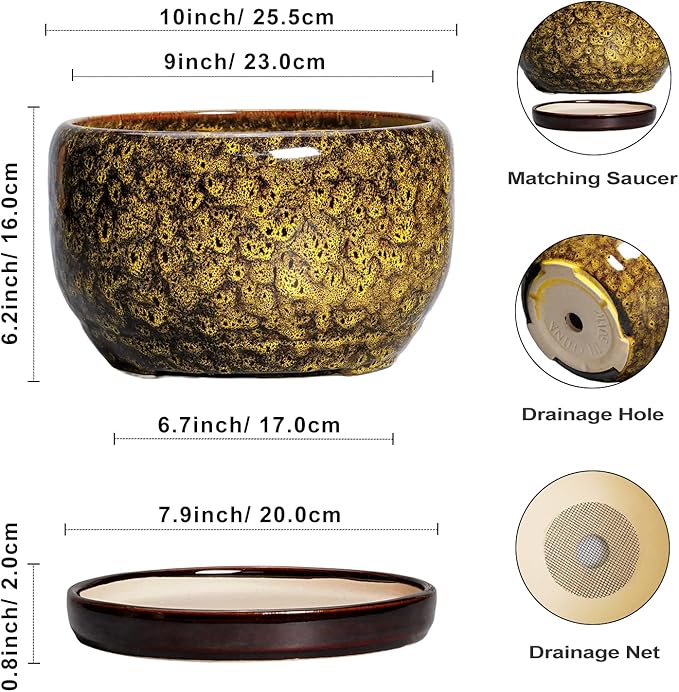 SQOWL 10 Inch Plant Pot - Image 3