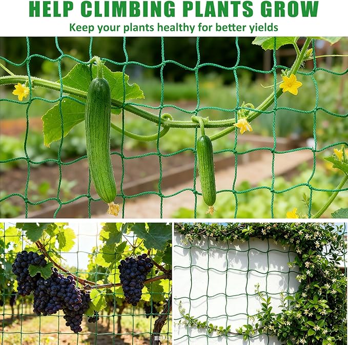 6.6x16.4FT Trellis Netting for Climbing Plants, Trellis Netting - Image 5