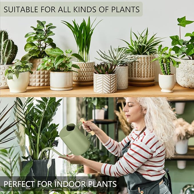 Watering Can Indoor Plants, 35oz Small Indoor Stainless Steel Metal Watering - Image 4