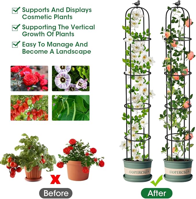 6.2ft Garden Obelisk Trellis for Climbing Plants Rustproof Metal Pipe - Image 3