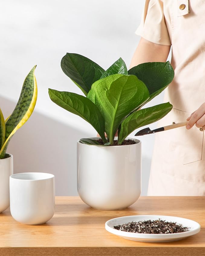vancasso Ceramic Plant Pots, 4+5+6 inches, Planters - Image 8
