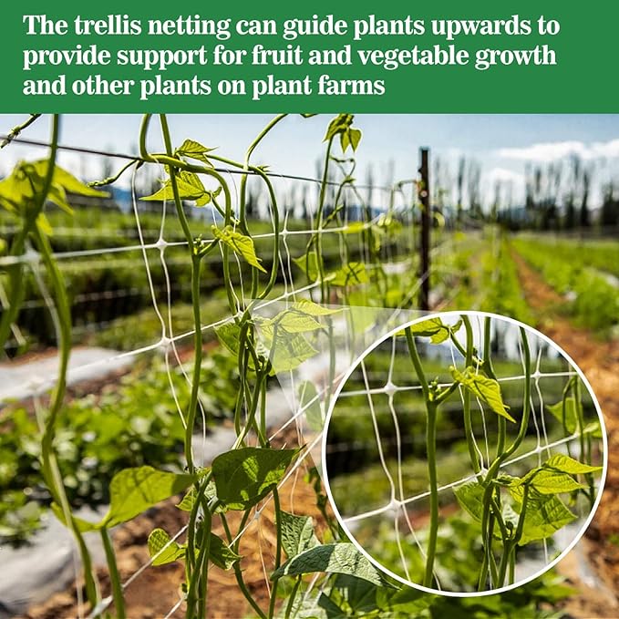 Sukh Garden Plant Trellis Netting -Trellis Net Polyester Trellis Netting Garden - Image 6