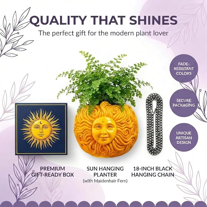 Fun & Unique Sun Face Hanging Planter Quirky Celestial Decor - Image 5