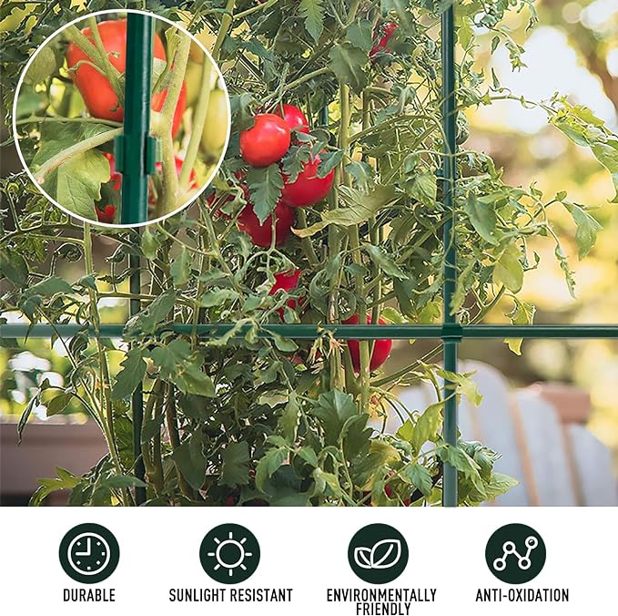 MAXPACE 62pcs Garden Stakes Kit: Includes 20 Sets of Fiberglass Plant Sticks - Image 6