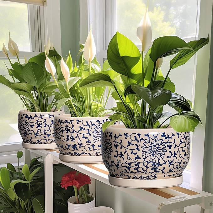 SQOWL 10 Inch Plant Pot Indoor - Image 6