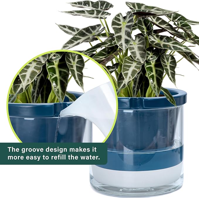 D'vine Dev 10 Inch Design Self Watering Planter - Image 6