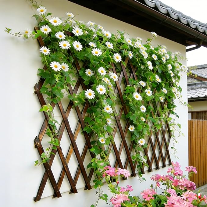 Expandable Garden Trellis - Image 4