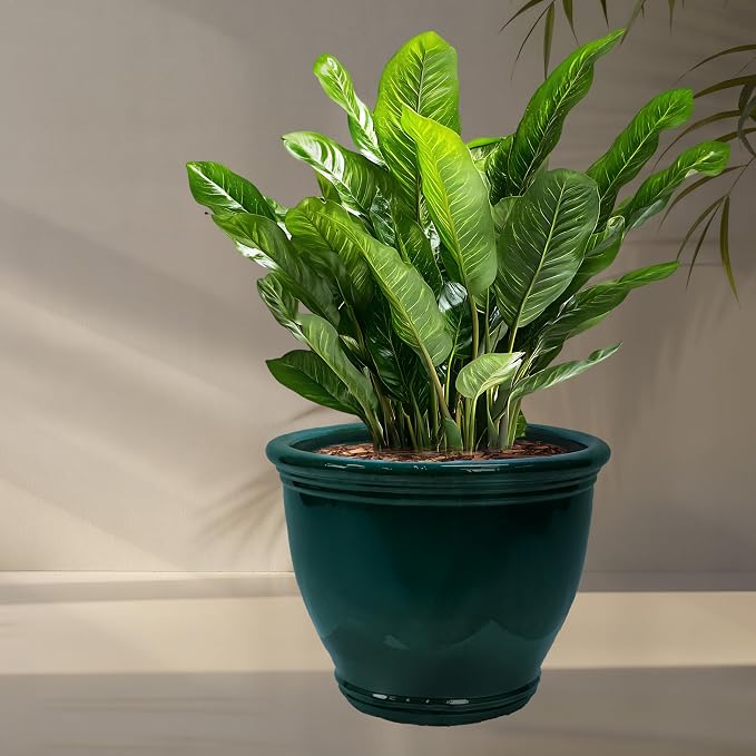 Sunnydaze Large Ceramic Plant Pot - Image 6
