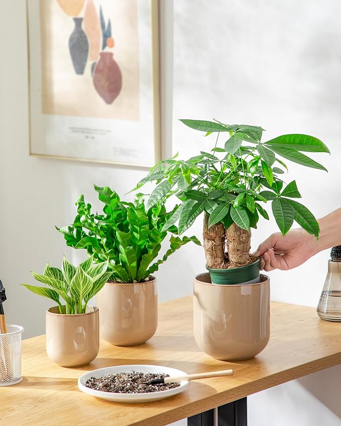 vancasso Ceramic Plant Pots, 4+5+6 inches, Planters - Image 6