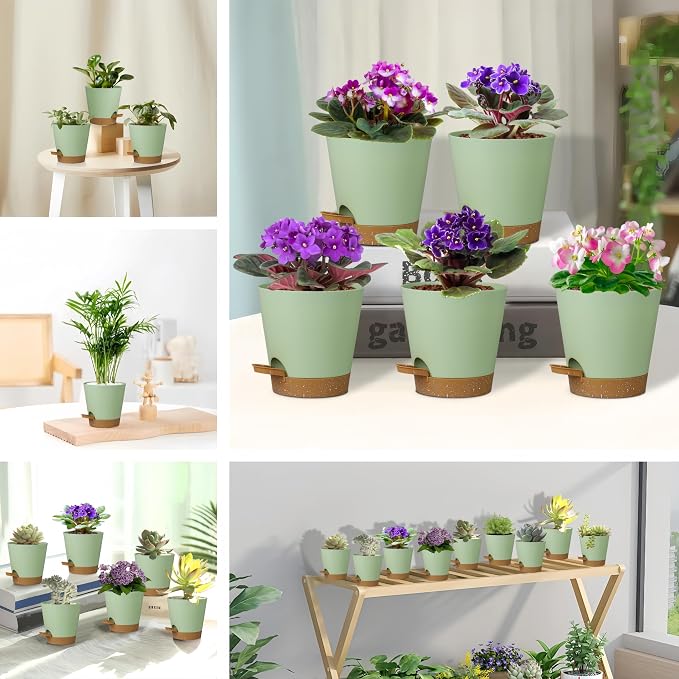 5 Pack 5 inch Self-Watering Pots, African Violets Planter - Image 4