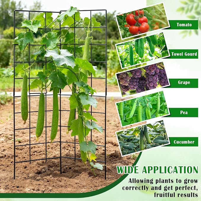 59" H x 31" L Foldable Cucumber Trellis - Image 7