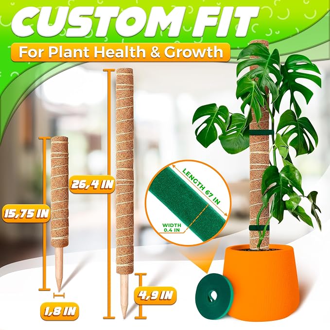 Moss Pole 26.4" Small Monstera Plant Support 2 Pcs Set - Image 2