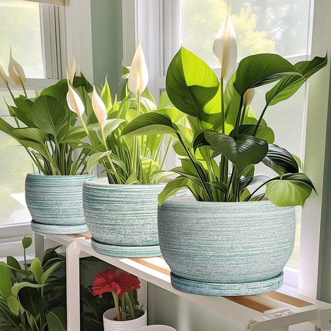 SQOWL Ceramic Plant Pots - Image 5