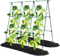 Cucumber Trellis, 50x48 inch A-Frame Garden Trellis by OTOSUNNY