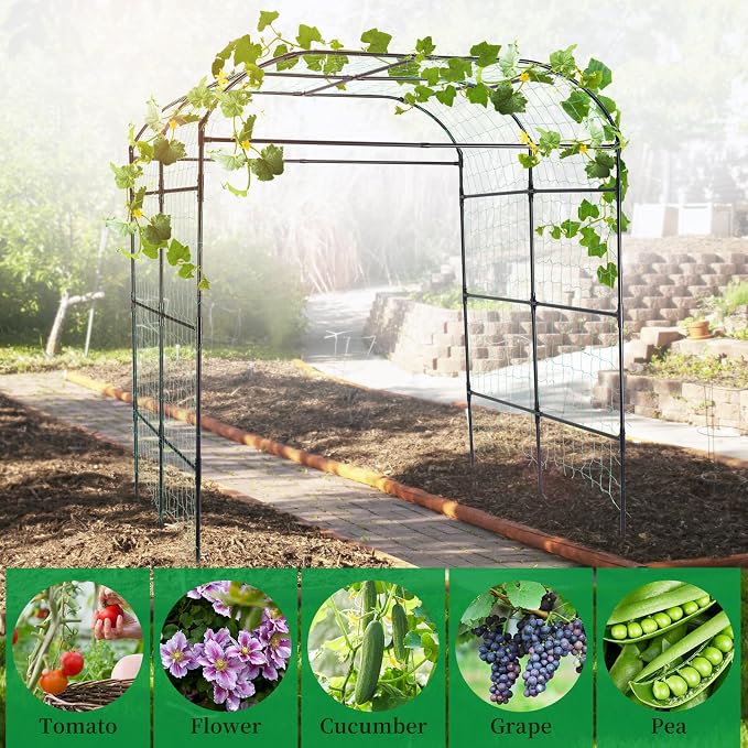 Garden Arch Trellis for Climbing Plants Outdoor, Cucumber Trellis for Raised Bed - Image 7