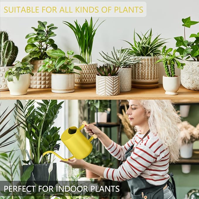 Watering Can Indoor Plants, 35oz Small Stainless Steel Metal Watering Can - Image 5