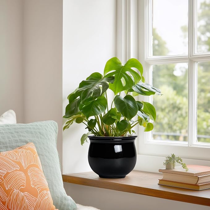 Ceramic African Violet Self Watering Pots, 6 Inch Self Watering Plant Pot - Image 4