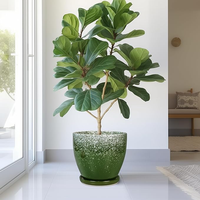 10 Inch Plant Pot - Image 4