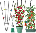 Garden Trellis for Climbing Plants Outdoor & Indoor, 47in Obelisk Trellis and by Antizz