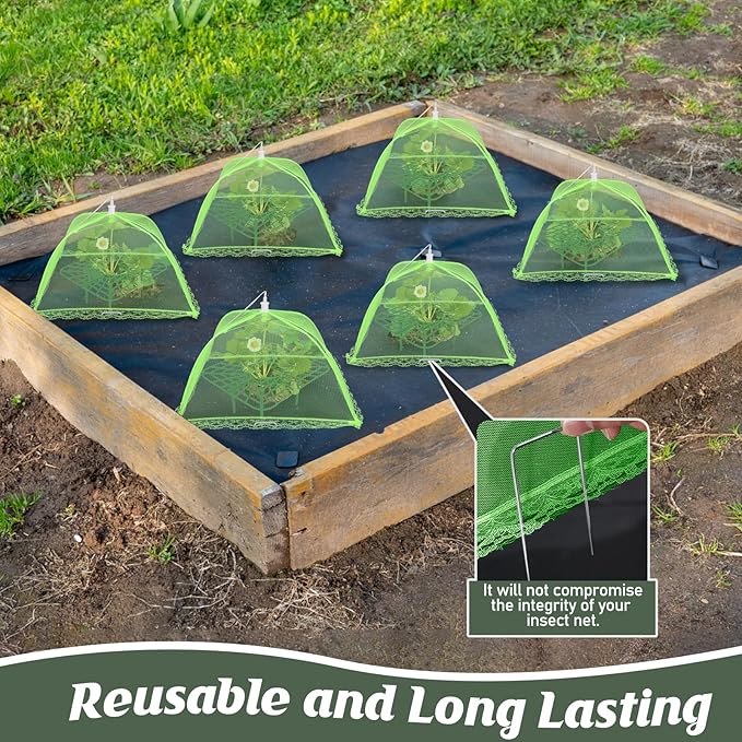 4 Sets Strawberry Plant Support - Image 4