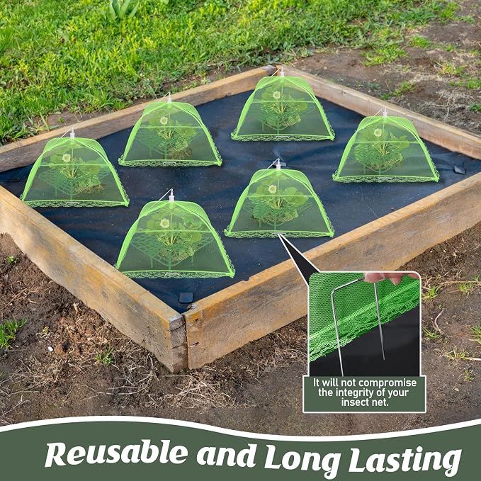 6 Sets Strawberry Plant Support - Image 4