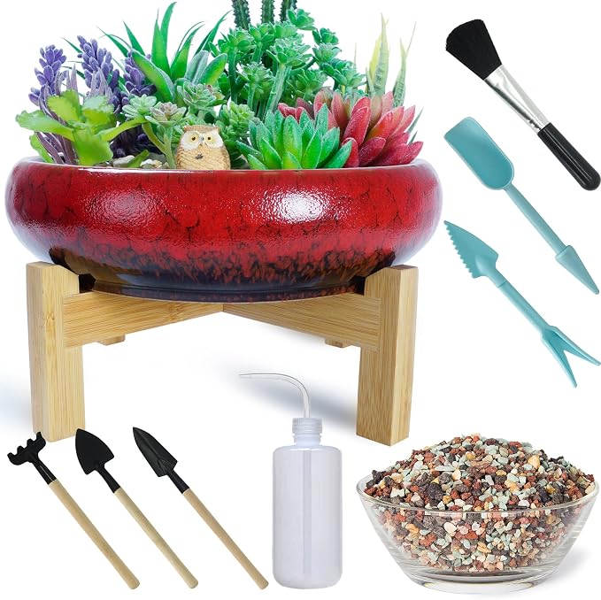 Large Succulent Pots with Drainage & Stand, 10 inch Ceramic Succulent Planter by ARTKETTY