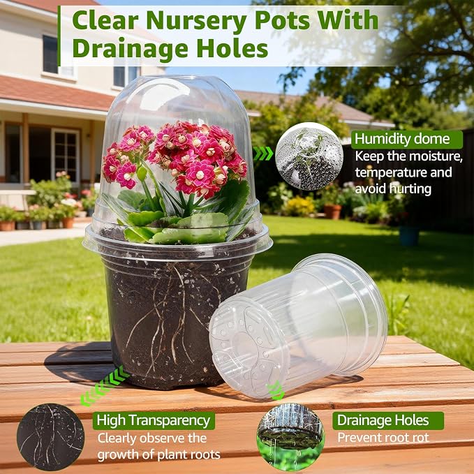 MIXC Clear Nursery Pots with Humidity Domes, 5/4/3.5 Inch Reinforced - Image 3