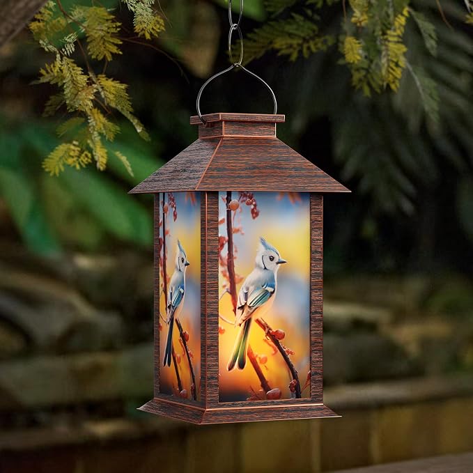 Outdoor Solar Lanterns, Waterproof Blue Jay Hanging Lantern by AFINETH