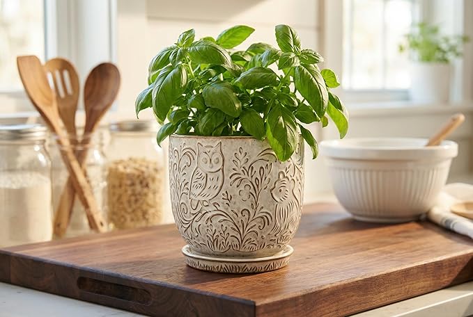 Decorative Ceramic Planter Pot - Image 4