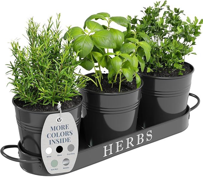 Barnyard Designs Indoor Herb Garden Planter Set by BarnyardDesigns
