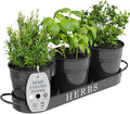 Barnyard Designs Indoor Herb Garden Planter Set by BarnyardDesigns