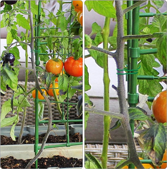 YDSL 100 Feet Soft Tie for Plants, Vegetables - Image 5