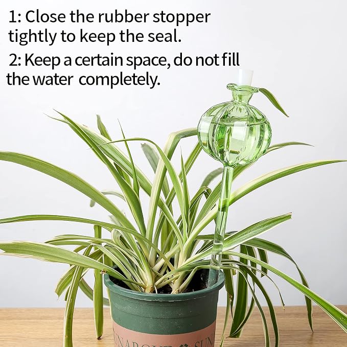 Self Watering Planter Insert. Plant Watering Devices. 3-Pack Cactus Plant - Image 4