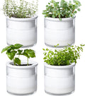 Phoenix Vine 4 Inch Self Watering Planter Pot, Design White Terracotta Pots by Phoenix+Vine
