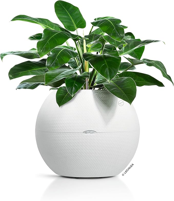 Lechuza Puro Color 50 White, Self-Watering Large Round Planter, D19.7 H15.4 in - Image 2