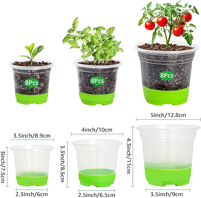 MIXC Thickened Clear Nursery Pots - Image 2